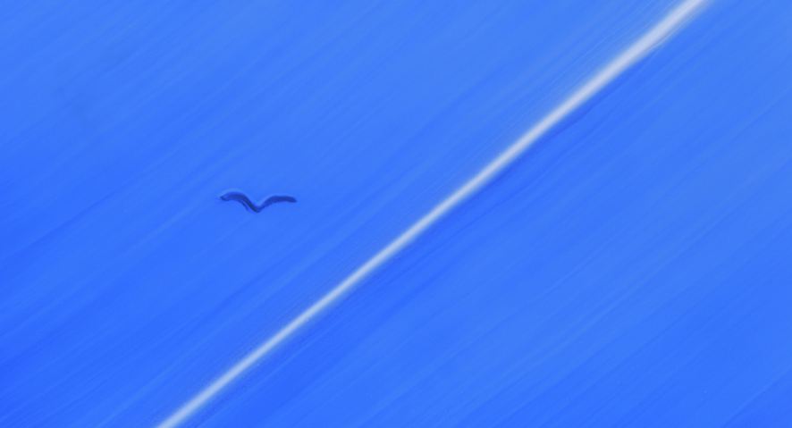 Airport (still frame)