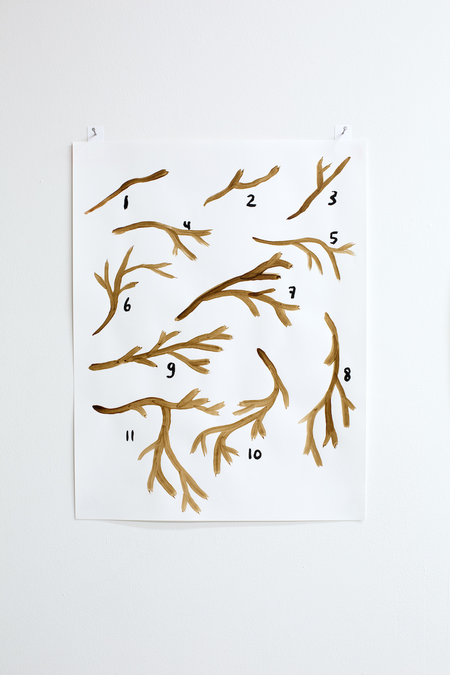Branches 