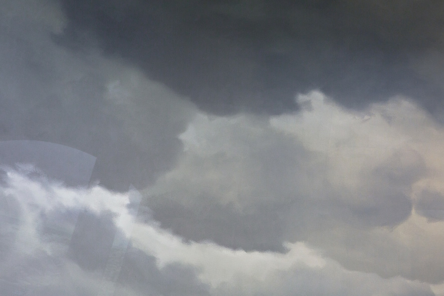 a Natural History (Cloud 2)