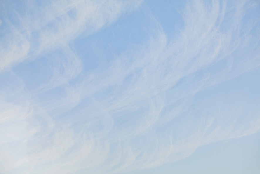 a Natural History (Cloud 3)