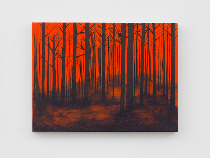 Untitled (Orange Kisatchie) 