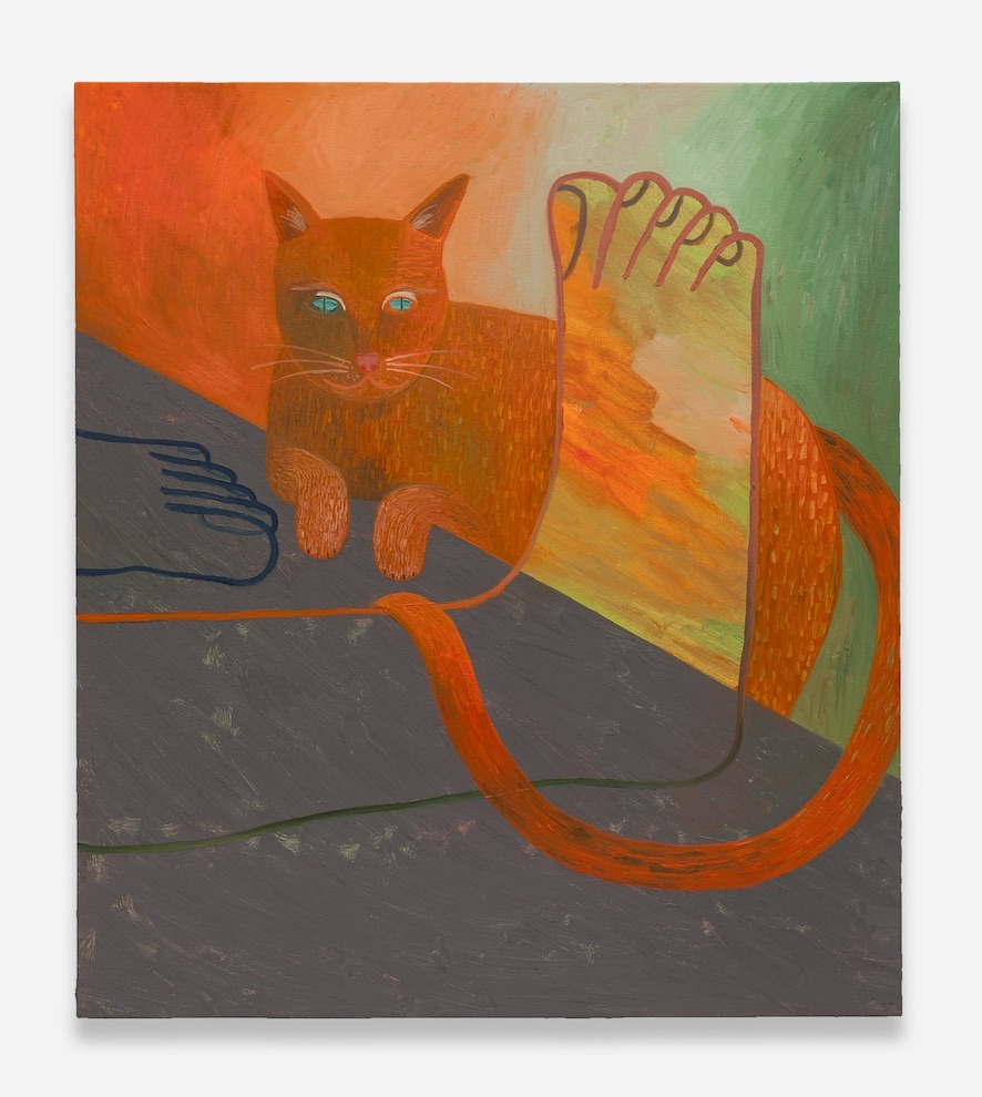 Feline Fun