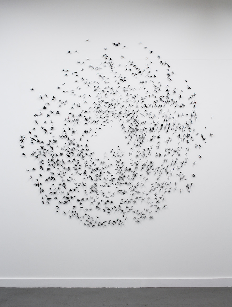 Murmurations