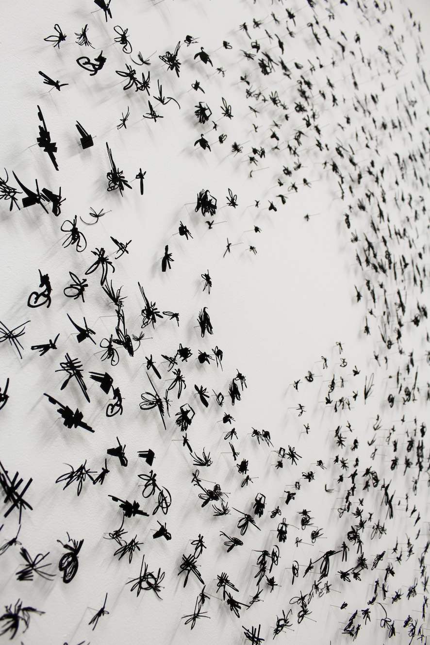 Murmurations