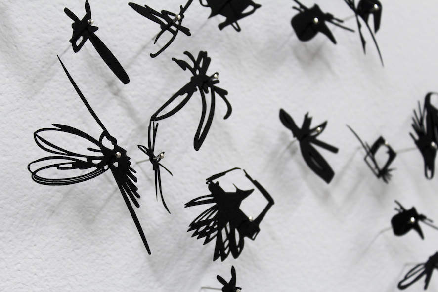 Murmurations 