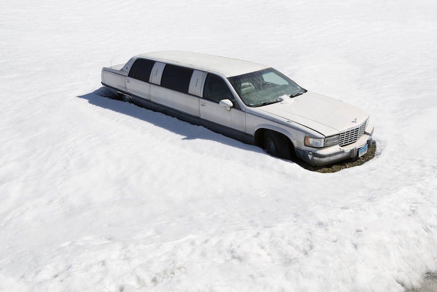 White Limo 