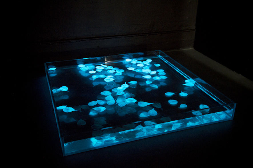 Obon (Nightlight) Courtesy Miya Ando and Sundaram Tagore Gallery