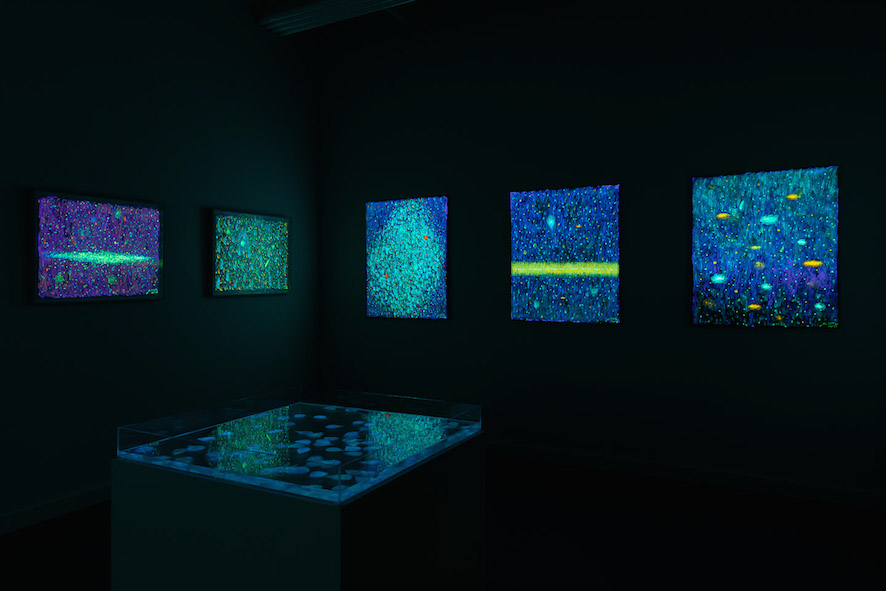NightLight Installation View in the Dark