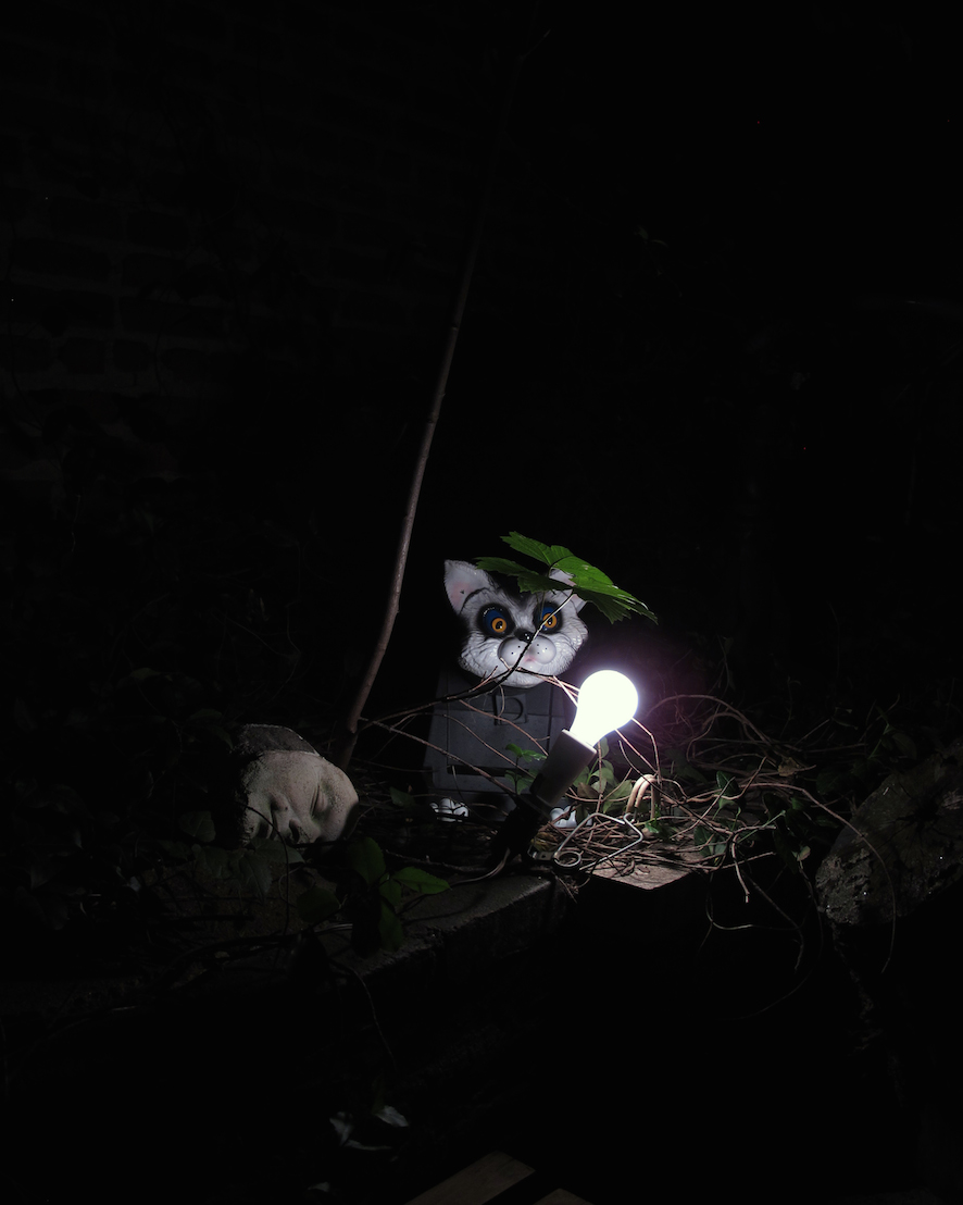 Structural Survey: Cat
