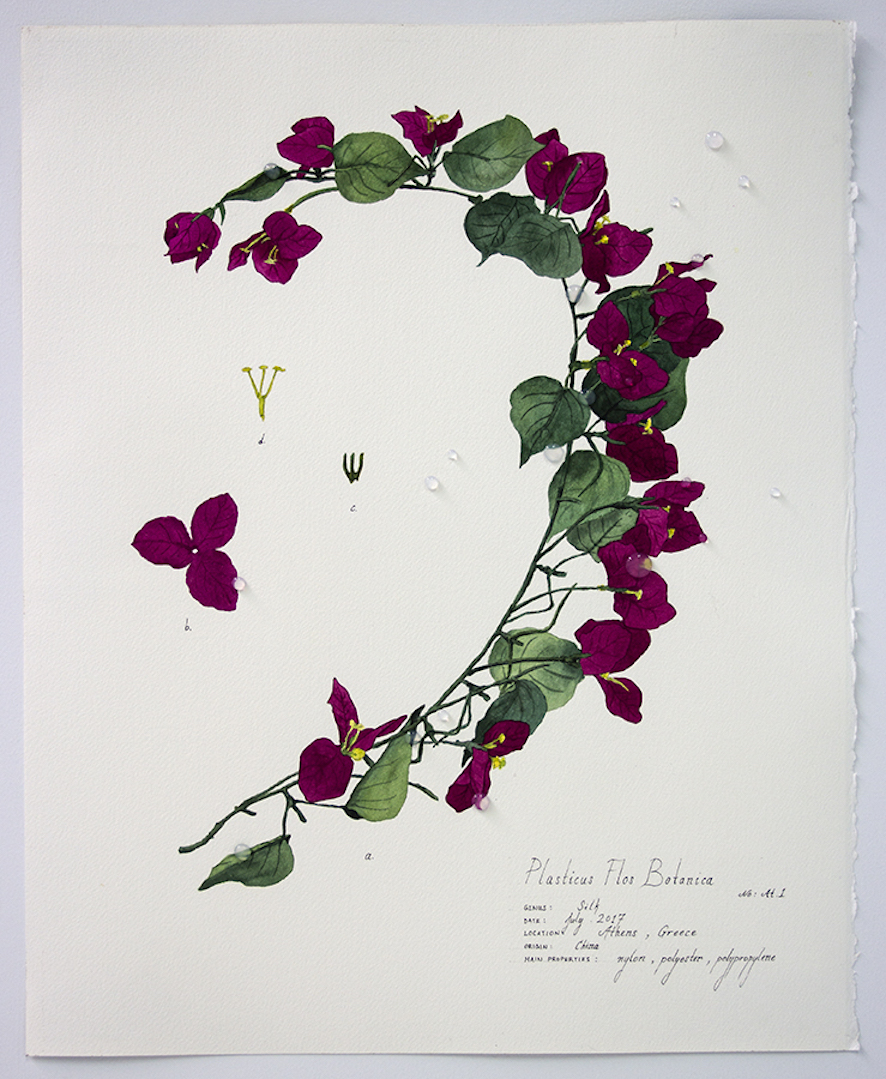 Plasticus Flos Botanica Athens I 