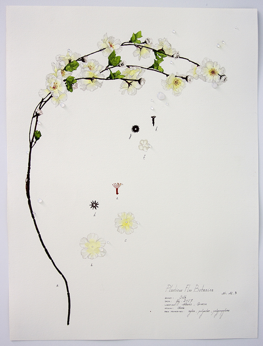 Plasticus Flos Botanica Athens III 