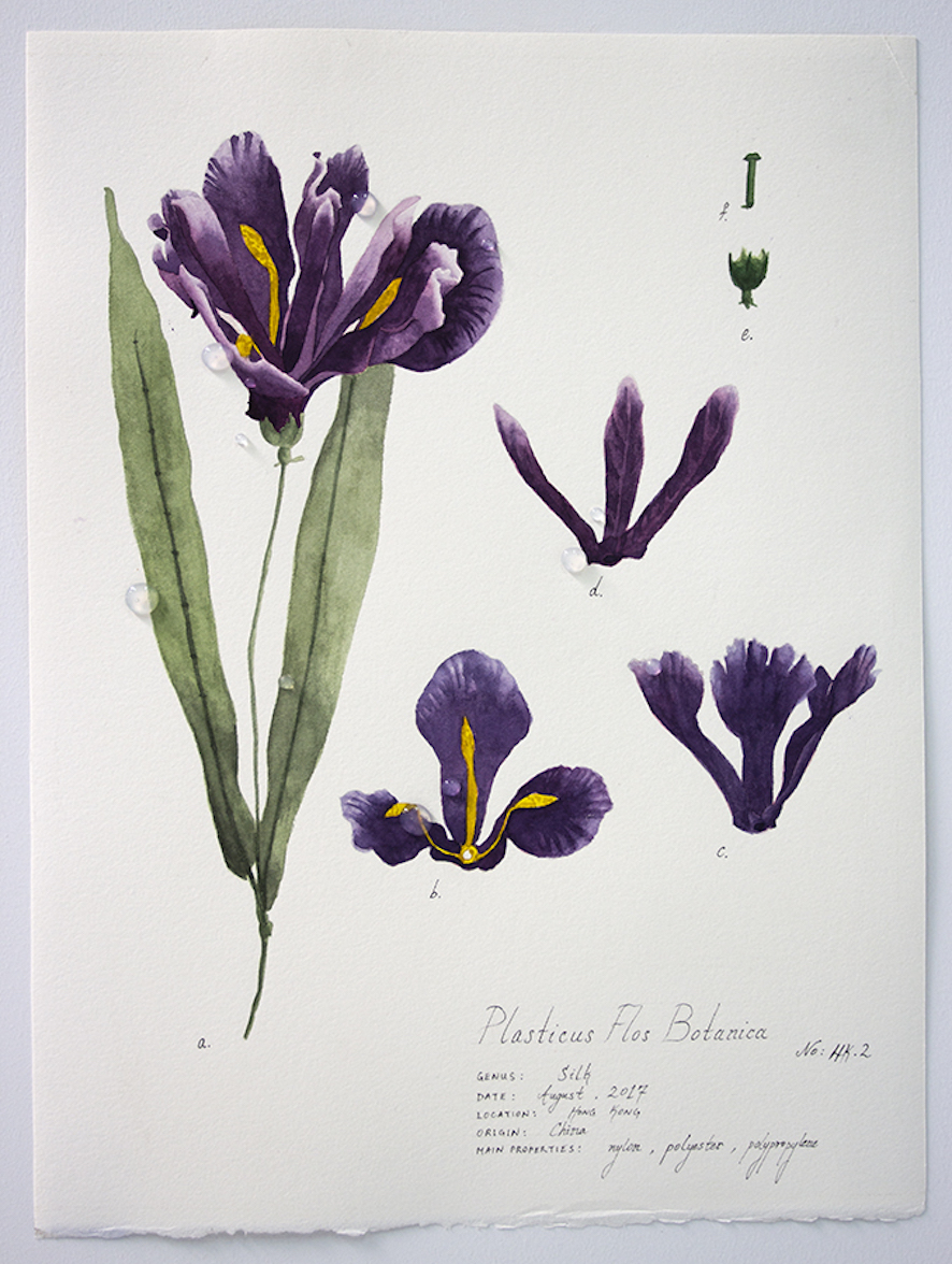 Plasticus Flos Botanica Hong Kong II 