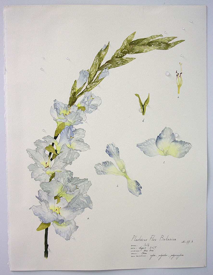 Plasticus Flos Botanica Hong Kong III 