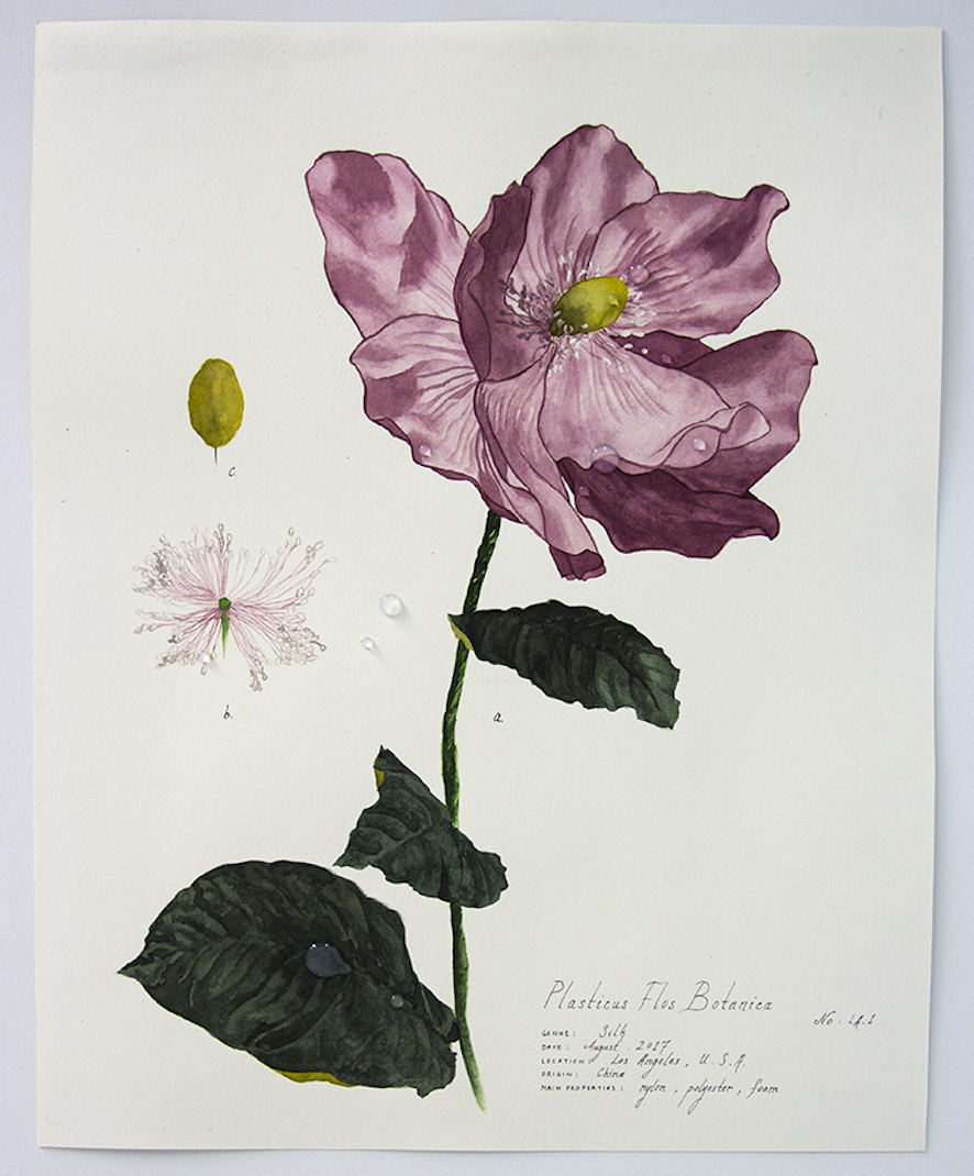 Plasticus Flos Botanica Los Angeles I 