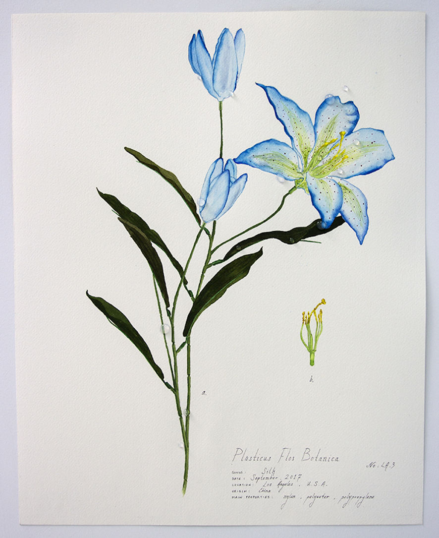 Plasticus Flos Botanica Los Angeles III 