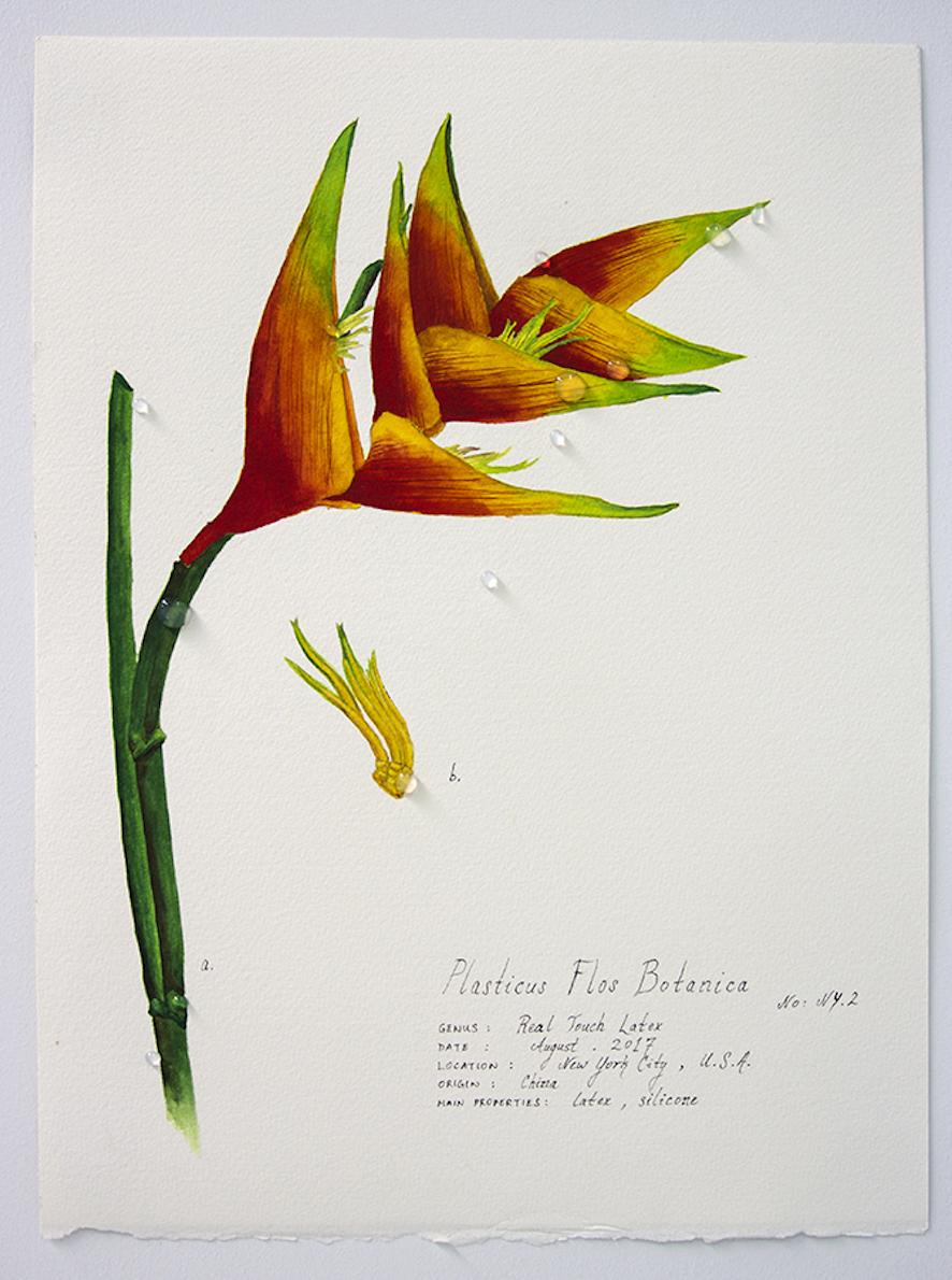 Plasticus Flos Botanica New York II 