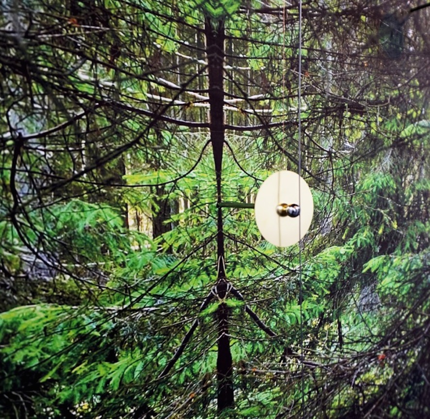 Forest Visions (detail)