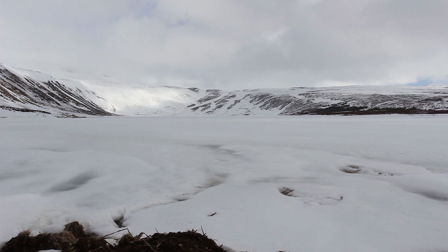Untitled (natural Sets) (Video Still 1)