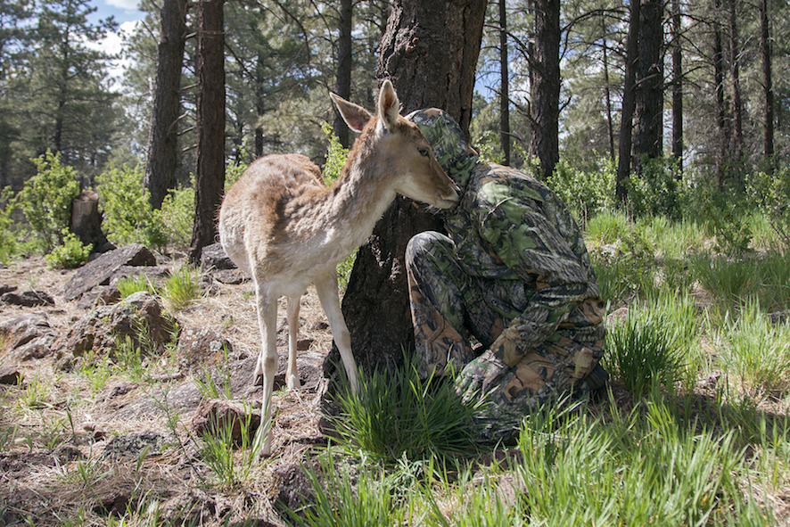Cameratrap Contact